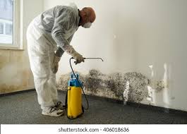 Best Mold Prevention Services  in Fairmount, NY